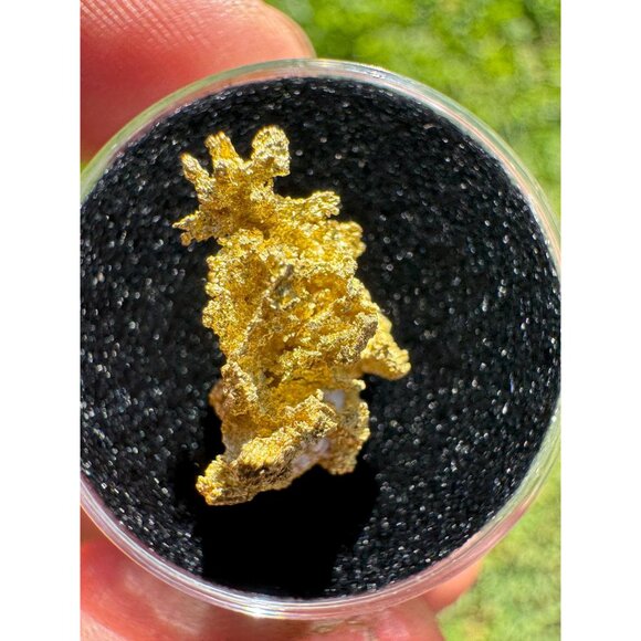 California Gold Crystal - 1.74 grams - Picture 9 of 11